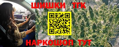 ECSTASY Гатчина