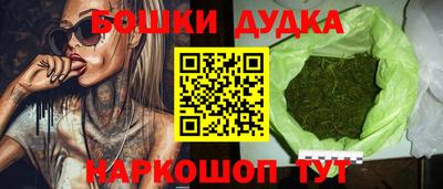 ECSTASY Гатчина
