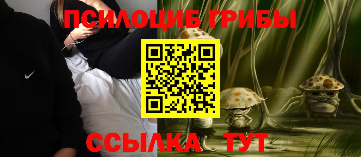 Галлюциногенные грибы MAGIC MUSHROOMS  Псилоцибиновые грибы Cubensis  Москва  Вход с VPN 